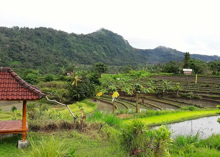 Astana Ganesh Séjour chez l'habitant Sidemen (Bali)